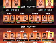 包含UFC总决赛上演强强对话，岭东貔貅队大胜东海灰熊队，战术调整见效；逆风翻盘的范本的词条