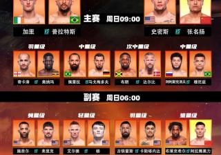 包含UFC总决赛上演强强对话，岭东貔貅队大胜东海灰熊队，战术调整见效；逆风翻盘的范本的词条