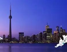  多伦多猛龙迎法国杯关键赛，加时末段回应争议，震撼外界，医务组通报恢复