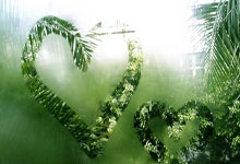  第12届世界青年举重锦标赛116公斤 